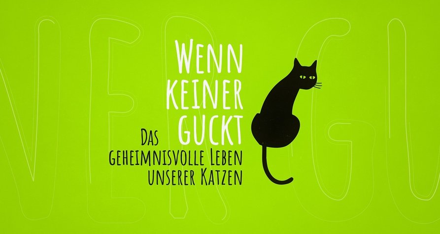 Wenn keiner guckt – Das geheimnisvolle Leben unserer Katzen – Bild: RTL Wenn keiner guckt – Das geheimnisvolle Leben unserer Katzen – Bild: RTL
