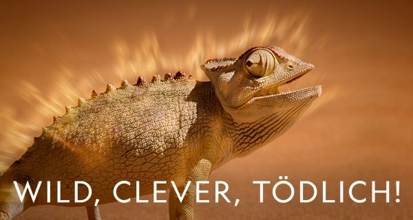 Wild, clever, tödlich! – Bild: National Geographic Wild Wild, clever, tödlich! – Bild: National Geographic Wild