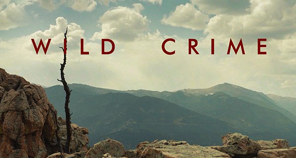Wild Crime – Bild: Disney/ABC News