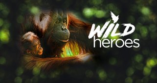 Wild Heroes: Die Zoo-Helden von Auckland