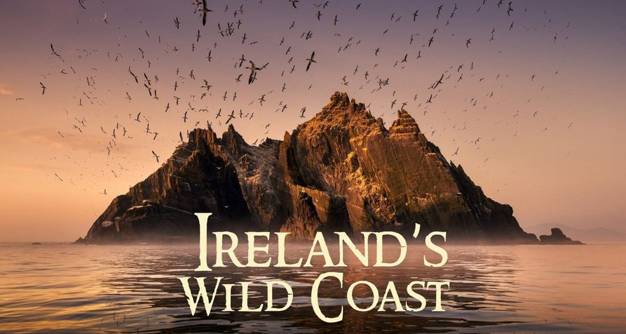 Wild Ireland: The Edge of the World – Bild: BBC Northern Ireland/BBC/Crossing The Line Films/France Télévisions Wild Ireland: The Edge of the World – Bild: BBC Northern Ireland/BBC/Crossing The Line Films/France Télévisions
