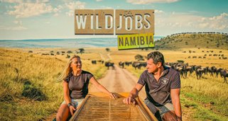 Wild Jobs