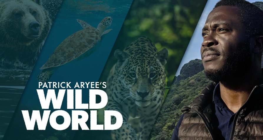 Wild World mit Patrick Aryee – Bild: Cineflix Productions / Curve Media Wild World mit Patrick Aryee – Bild: Cineflix Productions / Curve Media