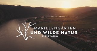 Wilde Äcker, Gärten und Wiesen