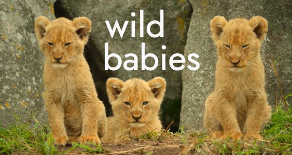 Wilde Babys – Bild: Netflix/Screenshot