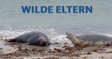 Wilde Eltern – Bild: arte