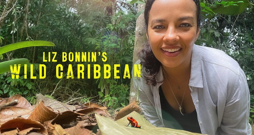 Wilde Karibik mit Liz Bonnin – Bild: Lion Television