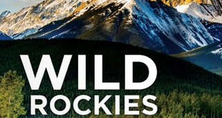 Wilde Rocky Mountains