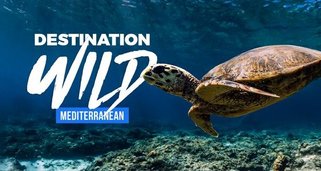 Wilder Mittelmeerraum
