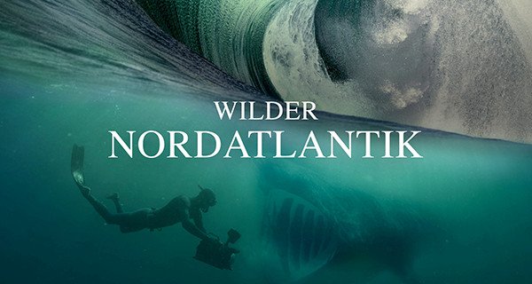 Wilder Nordatlantik – Bild: Sea Fever Productions Ltd Wilder Nordatlantik – Bild: Sea Fever Productions Ltd