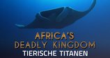 Wildes Afrika – Bild: Lion Mountain Media