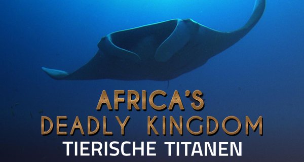Wildes Afrika – Bild: Lion Mountain Media Wildes Afrika – Bild: Lion Mountain Media