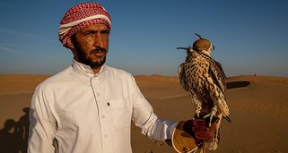 Wildes Arabien