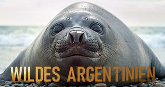 Wildes Argentinien