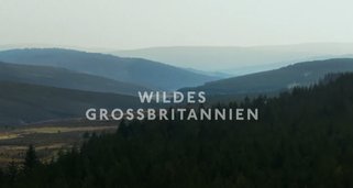 Wildes Großbritannien