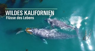 Wildes Kalifornien