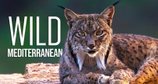 Wildes Mittelmeer – Bild: Docu Producciones / Bomanbridge