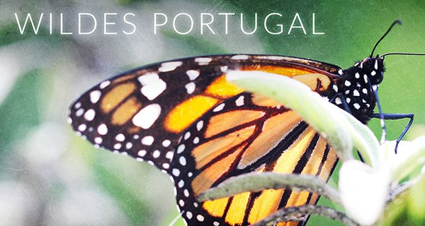 Wildes Portugal – Bild: Tatu Films 2019 Wildes Portugal – Bild: Tatu Films 2019