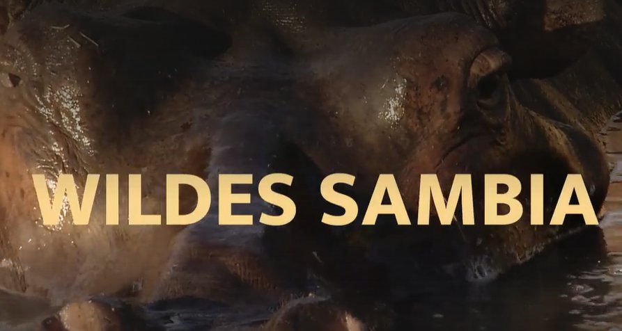 Wildes Sambia – Bild: arte/Earth Touch Wildes Sambia – Bild: arte/Earth Touch