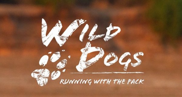 Wildhunde: Mit dem Rudel laufen – Bild: Sky/Love Nature Wildhunde: Mit dem Rudel laufen – Bild: Sky/Love Nature