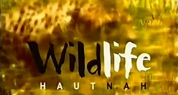Wildlife hautnah – Bild: ProSieben Wildlife hautnah – Bild: ProSieben