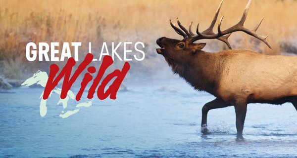 Wildnis der Great Lakes – Bild: Whistlestop Productions/Blue Ant Media Wildnis der Great Lakes – Bild: Whistlestop Productions/Blue Ant Media
