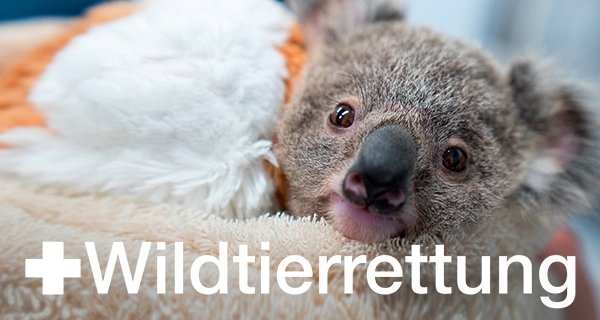 Wildtierrettung – Bild: Love Nature