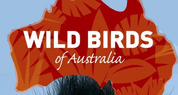 Wildvögel in Australien – Bild: Smithsonian Channel