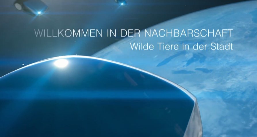 Willkommen in der Nachbarschaft – Bild: federvieh / Terra Mater / NDR / arte