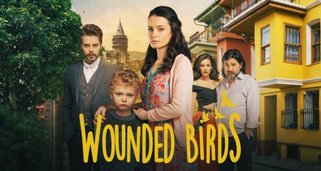 Wounded Birds