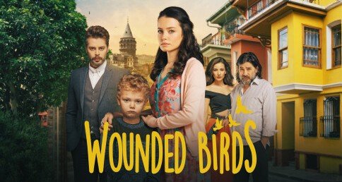 Wounded Birds – Bild: Night Train Media GmbH & Co KG Wounded Birds – Bild: Night Train Media GmbH & Co KG