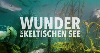 Wunder der Keltischen See