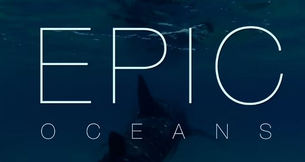 Wunderwelt Ozean – Bild: Earth Touch Wunderwelt Ozean – Bild: Earth Touch