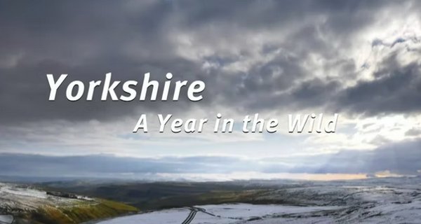 Yorkshire: Ein Jahr in der Wildnis – Bild: Channel 5 Yorkshire: Ein Jahr in der Wildnis – Bild: Channel 5