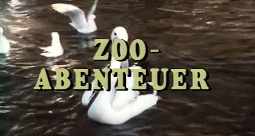 Zoo-Abenteuer – Bild: CiNENET