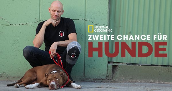 Zweite Chance für Hunde – Bild: National Geographic