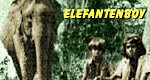 Elefantenjunge Elefantenjunge