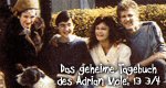 Das geheime Tagebuch des Adrian Mole, 13 3/​4