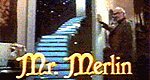 Mr. Merlin