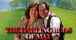 The Darling Buds of May