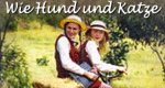 Wie Hund und Katze Wie Hund und Katze