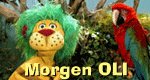Morgen OLI Morgen OLI