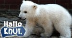 Hallo Knut! – Bild: RBB/Thomas Ernst Hallo Knut! – Bild: RBB/Thomas Ernst