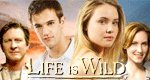 Life is Wild Life is Wild