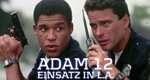 Einsatz in L.A.