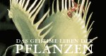 Das geheime Leben der Pflanzen