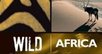 Wildes Afrika – Bild: BBC