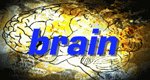 Brain – Wussten Sie schon …? – Bild: BR Brain – Wussten Sie schon …? – Bild: BR