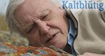 Kaltblütig – Bild: BBC Press Office