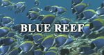 Blue Reef